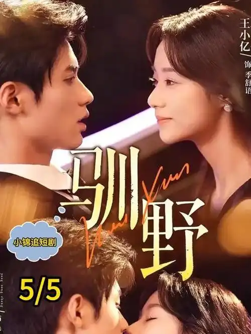 刑侦悬疑剧破雾者全集免费看